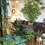 Pflanzen Fürs Wohnzimmer – Kronendach Intended For Grünpflanzen Wohnzimmer