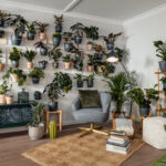 Zimmerpflanzen Im Überblick – Mach Deine Wohnung Grün! | Obi Pertaining To Grünpflanzen Wohnzimmer